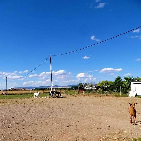 Masia Los Camineros Cella Exteriér fotografie