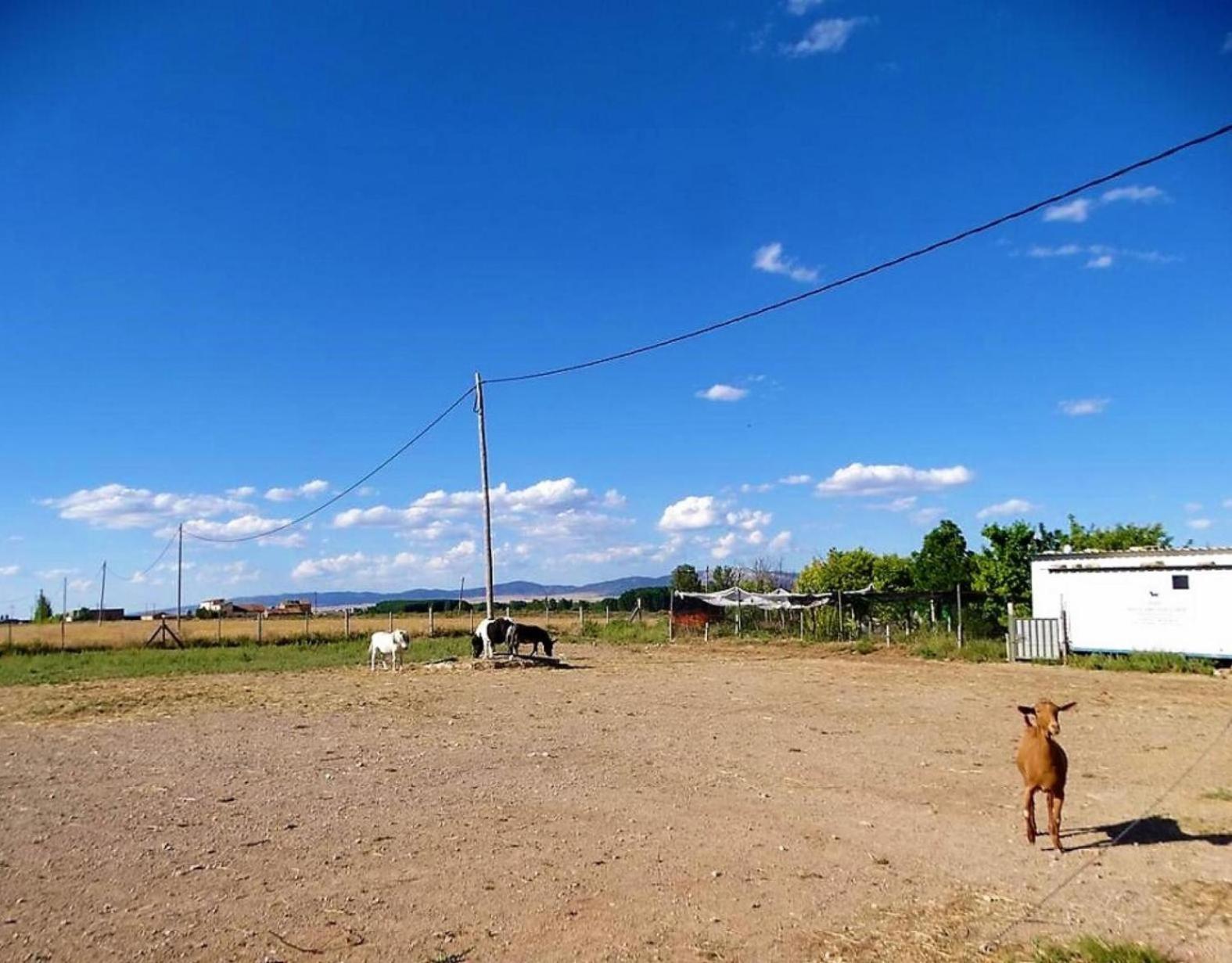 Masia Los Camineros Cella Exteriér fotografie